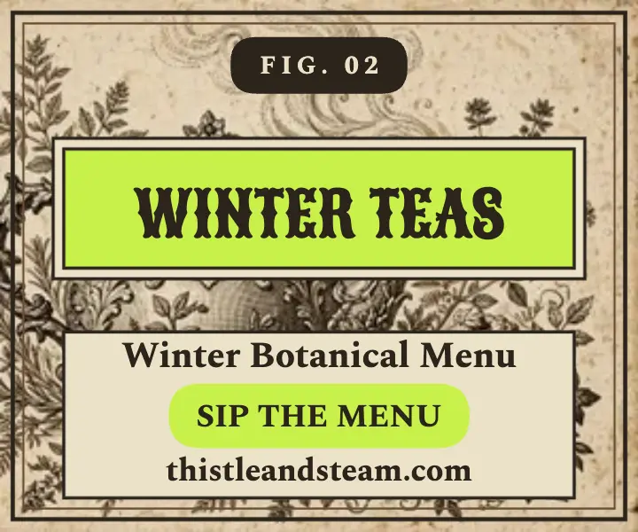 Thistle and Steam winter tea menu ad template