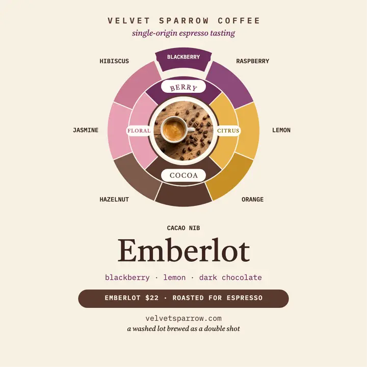 Emberlot espresso flavor wheel template
