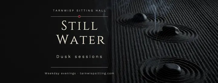 Tarnwisp Sitting Hall evening cover template