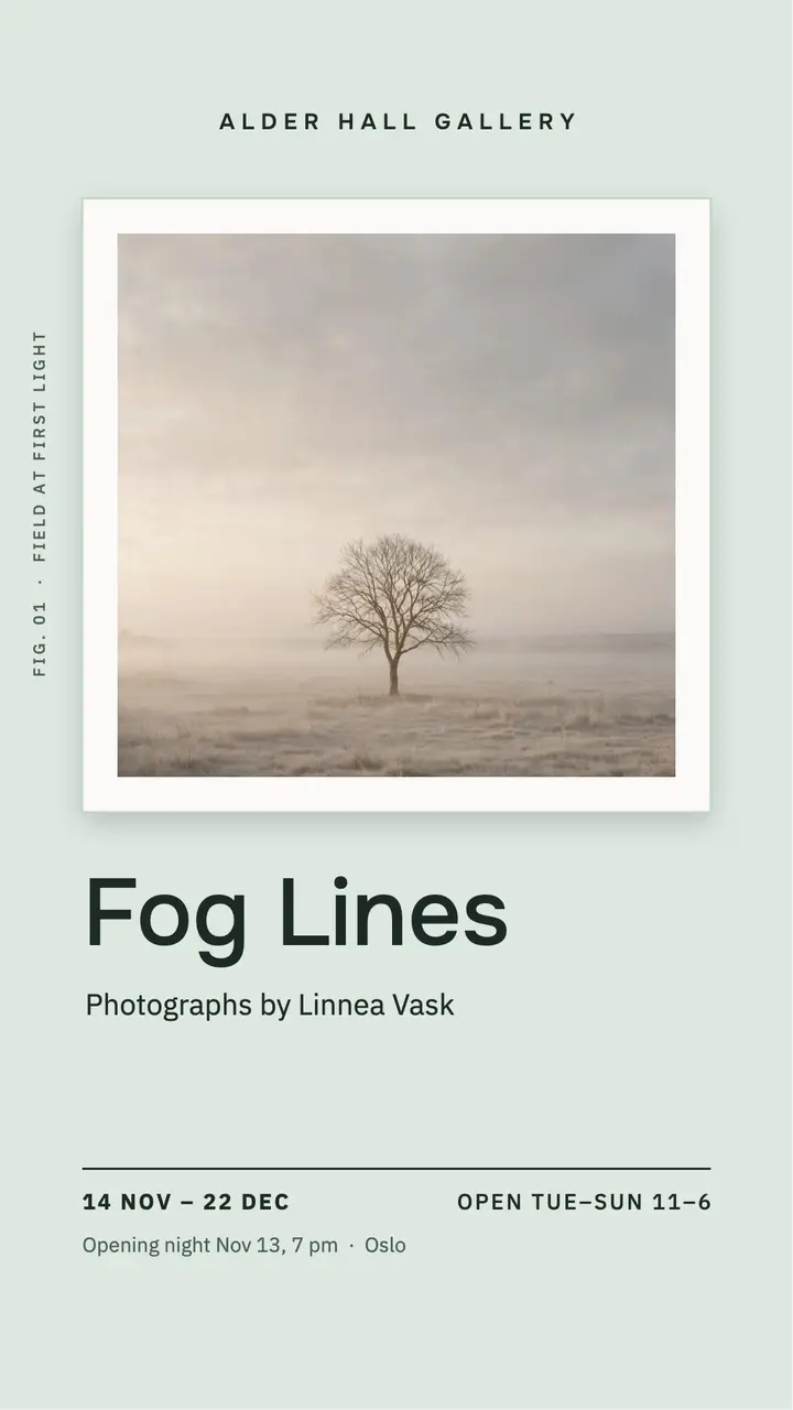 Fog Lines exhibition story template