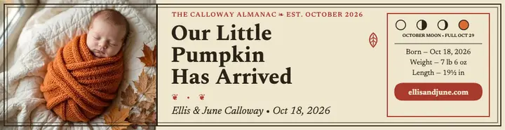 Little pumpkin fall birth announcement billboard: baby birth announcement template