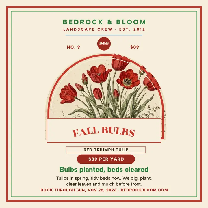 Bedrock and Bloom fall bulb seed packet template