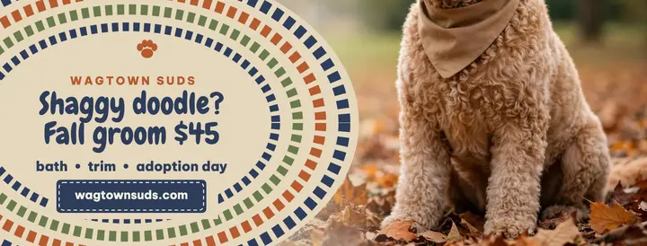 Wagtown Suds fall doodle cover template