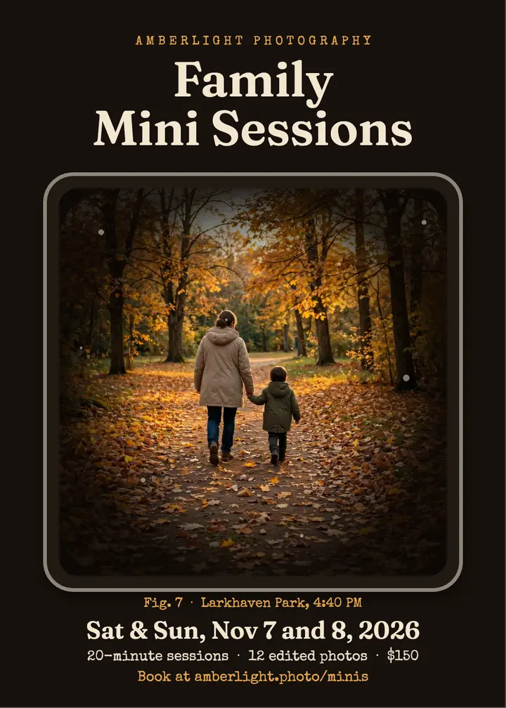 Amberlight autumn family mini sessions invitation template