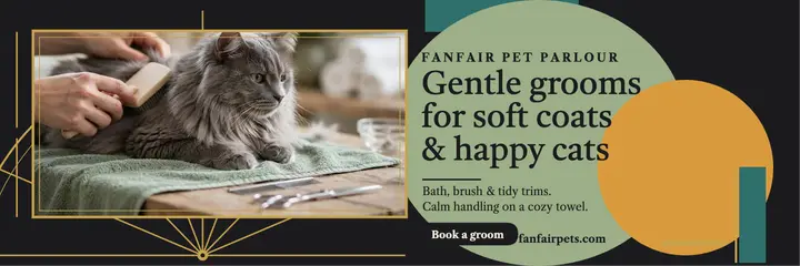 Fanfair Pet Parlour fan header template