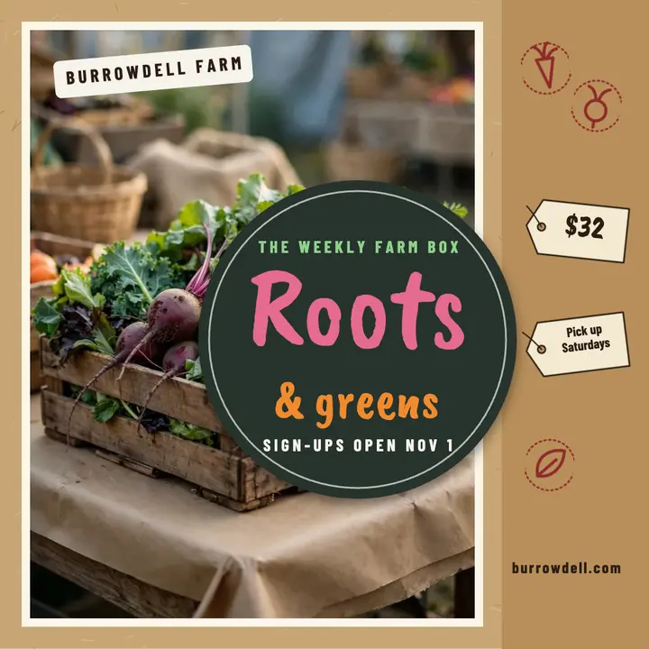 Burrowdell Farm weekly box sign-ups post template