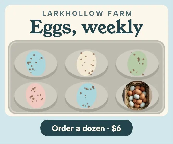 Larkhollow weekly egg box ad template