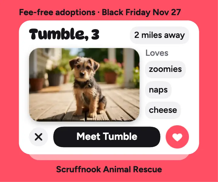 Fee-free dog adoption profile card ad, Black Friday template