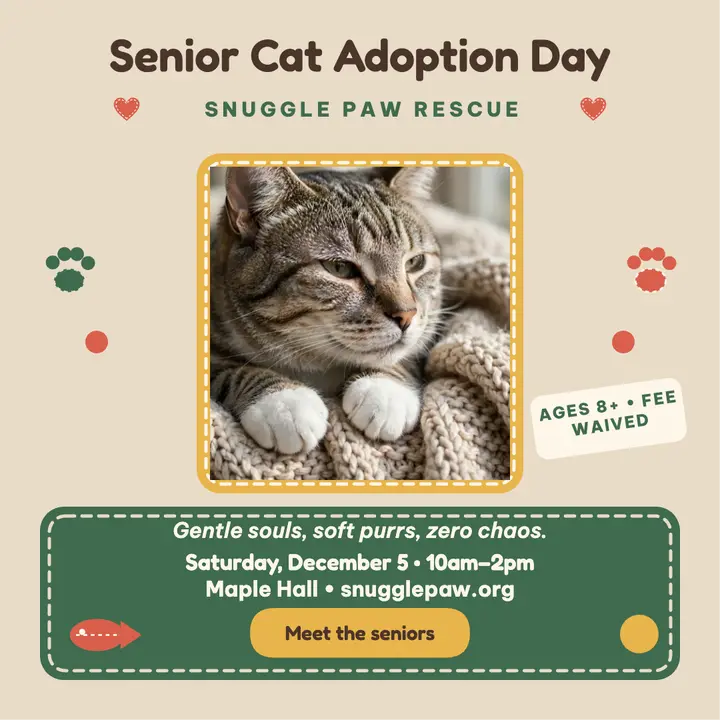 Snuggle Paw senior cat adoption felt post template