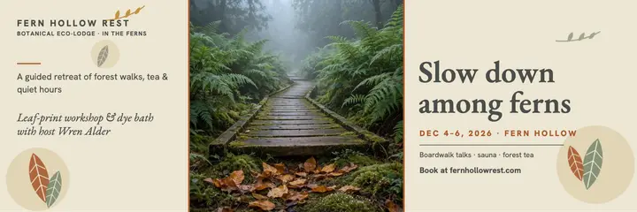 Fern Hollow Rest eco retreat header template