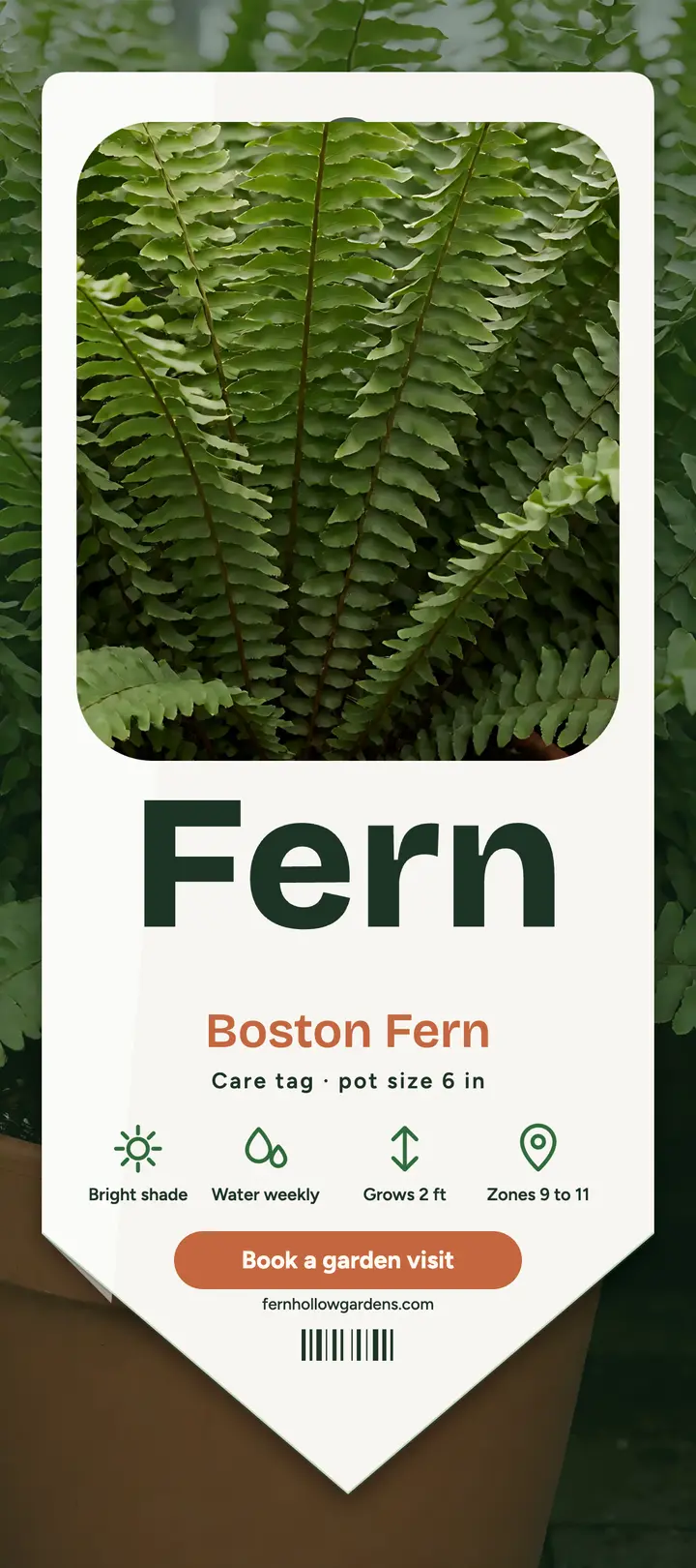 Fernhollow plant tag rack card template