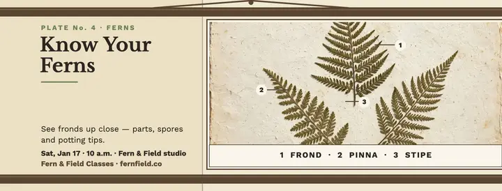 Fern plate wall chart cover template