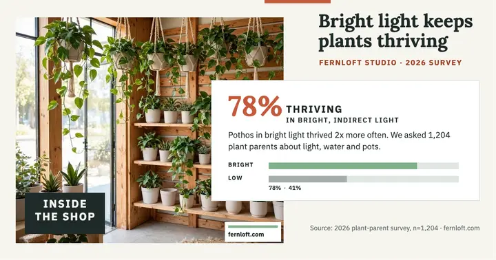 Fernloft Studio survey results post template