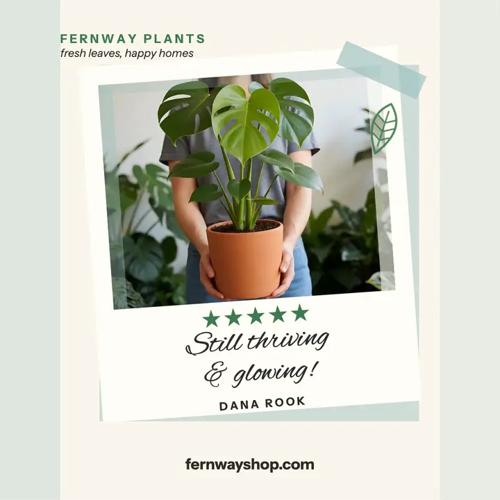 Fernway Plants monstera review polaroid template