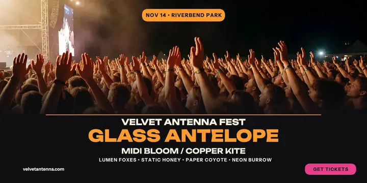 Velvet Antenna Fest lineup bill post template