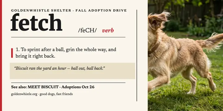 Fetch dictionary adoption drive x-post template