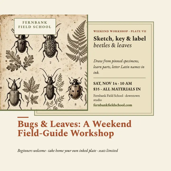 Fernbank Bugs and Leaves workshop post template