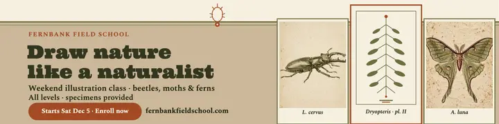 Fernbank weekend nature illustration banner: nature illustration class banner template