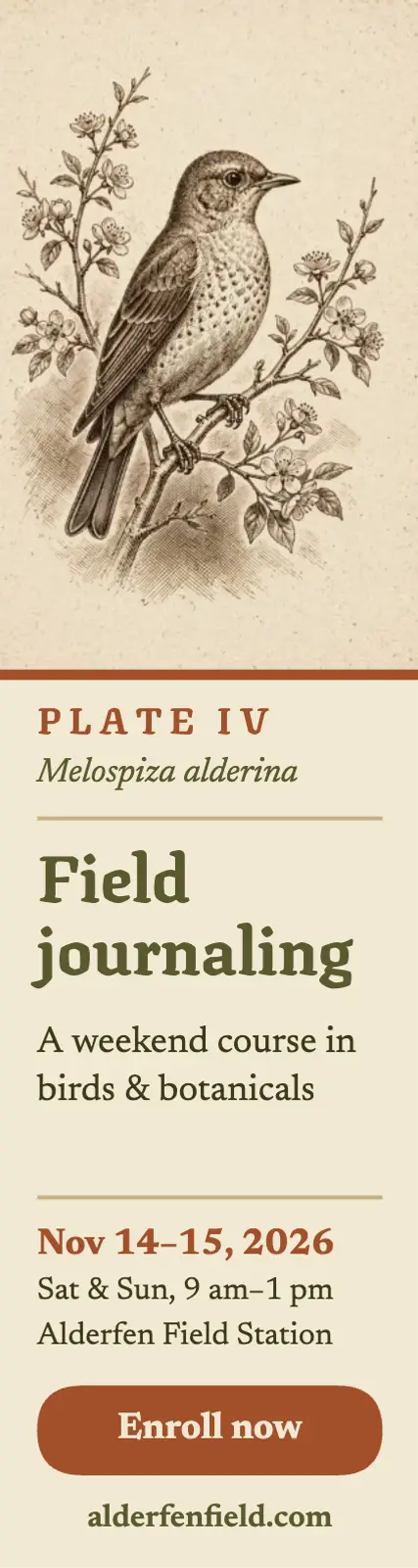 Alderfen field journaling course skyscraper ad: field journaling course ad template