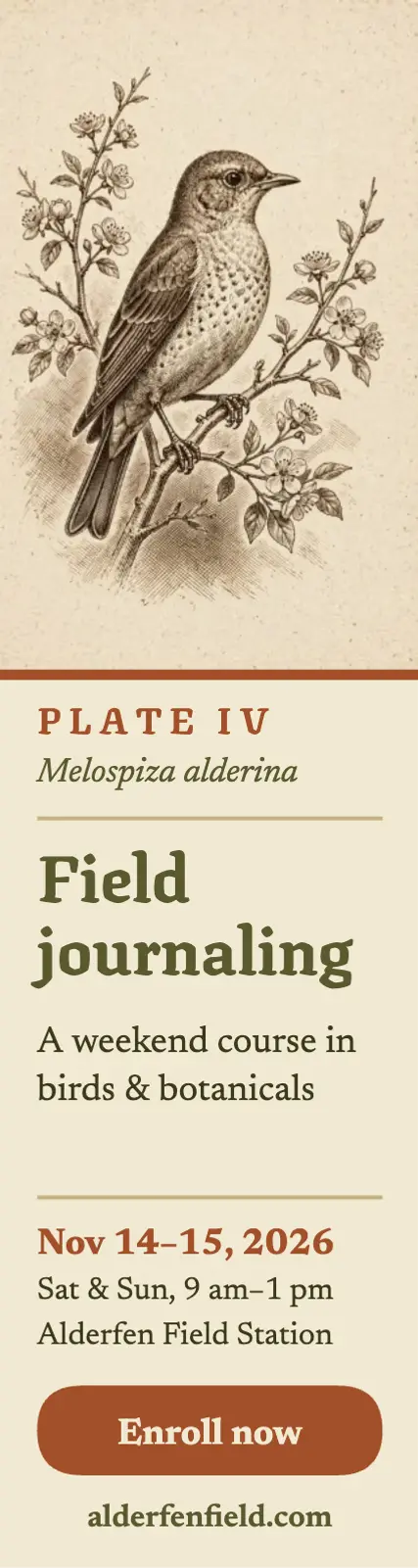 Alderfen field journaling course skyscraper ad template