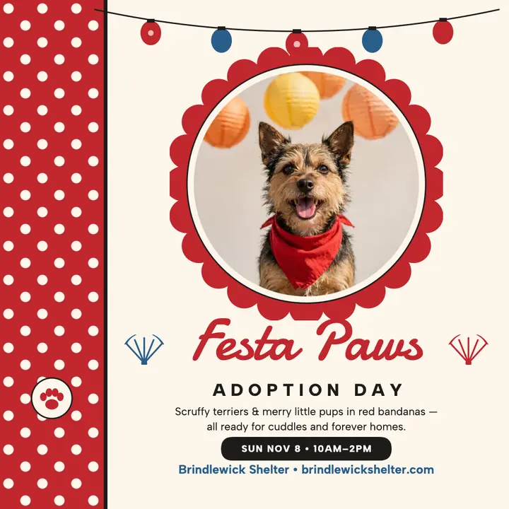 Festa Paws adoption day fiesta post template