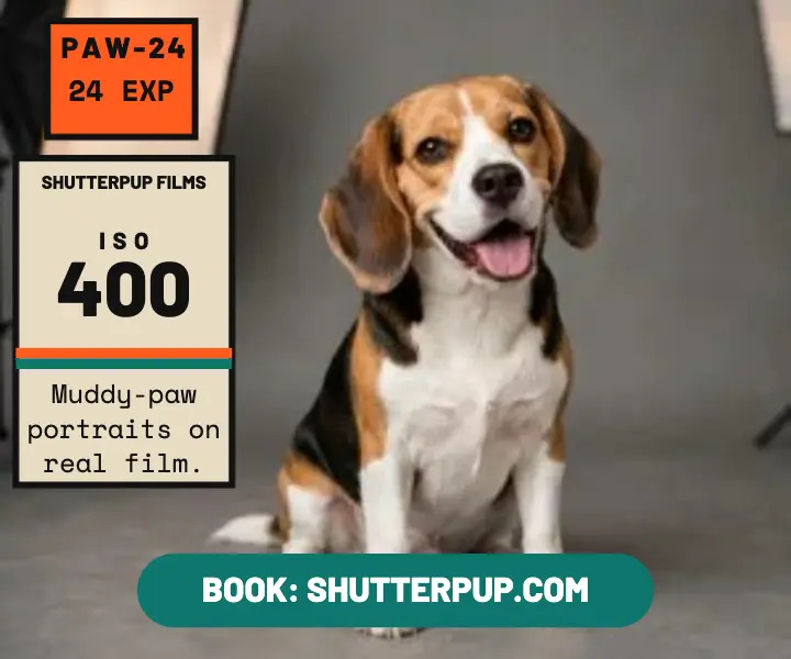 Shutterpup muddy-paw film portraits ad template