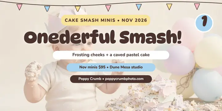 First birthday cake smash minis x post template