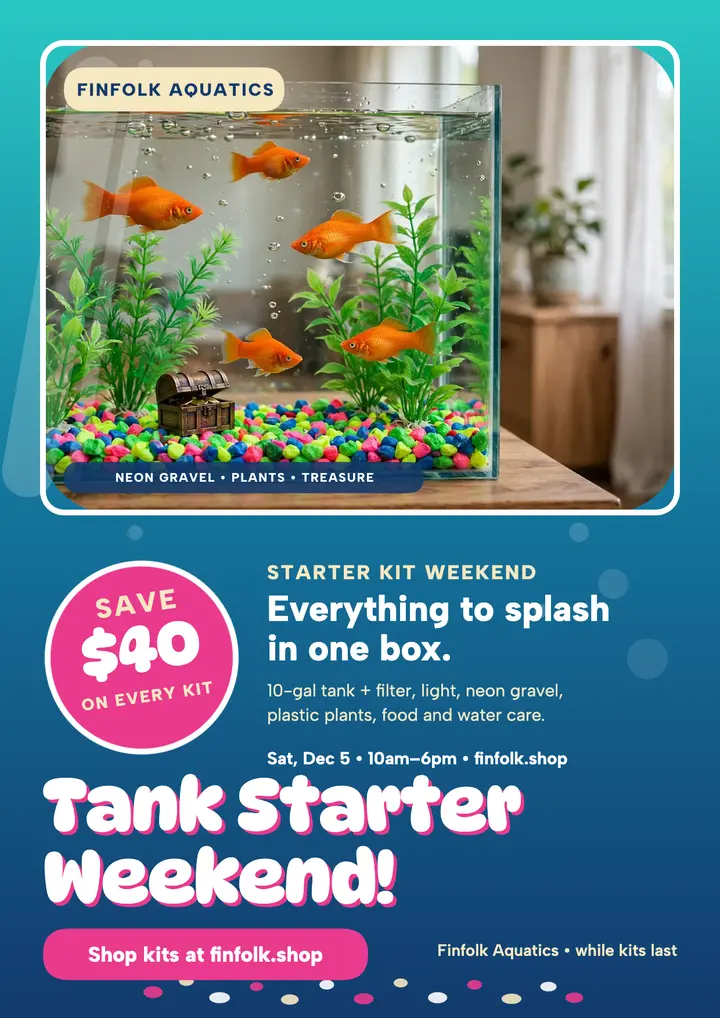 Finfolk tank starter weekend flyer template