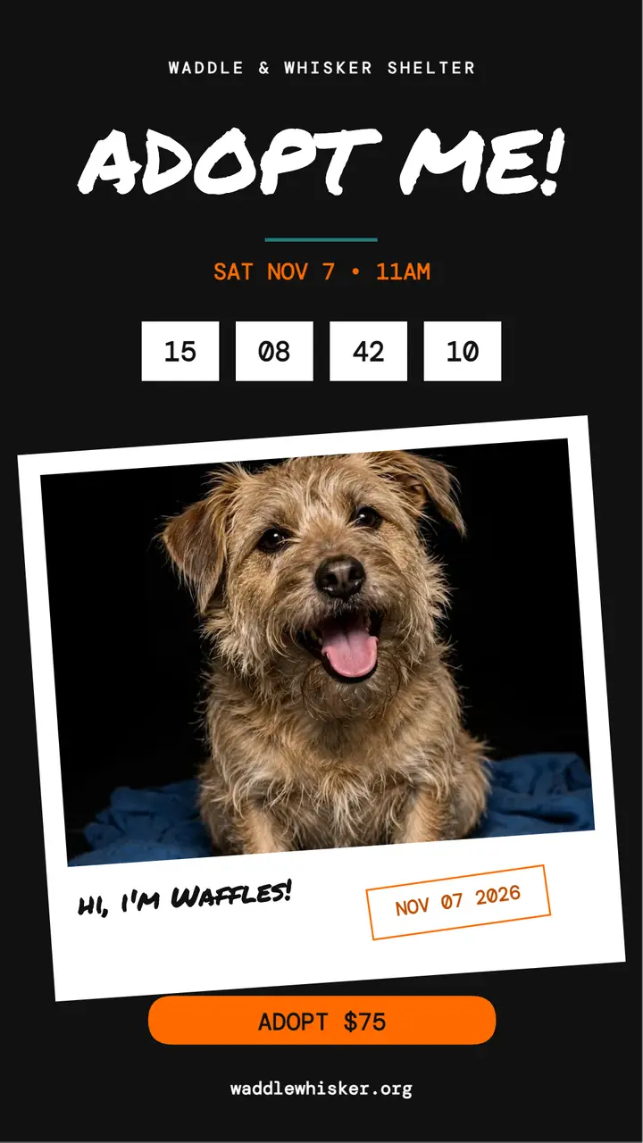 Waffles flash adoption day story template