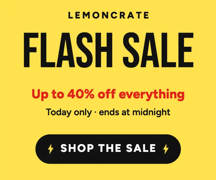 Flash sale lemon display ad template