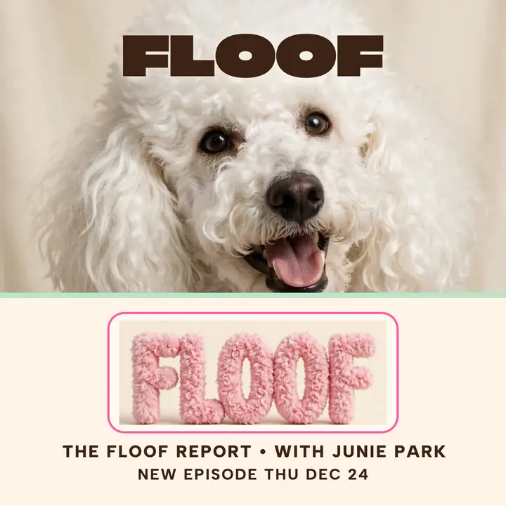 Floof dog grooming podcast cover template