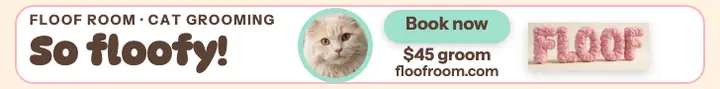 Floof Room fluffy cat grooming ad template