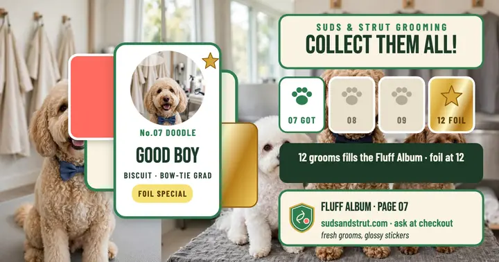 Suds and Strut fluff album graduate wall template