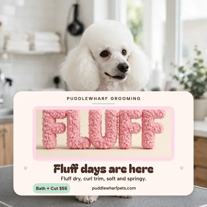 Puddlewharf fluffy grooming post template