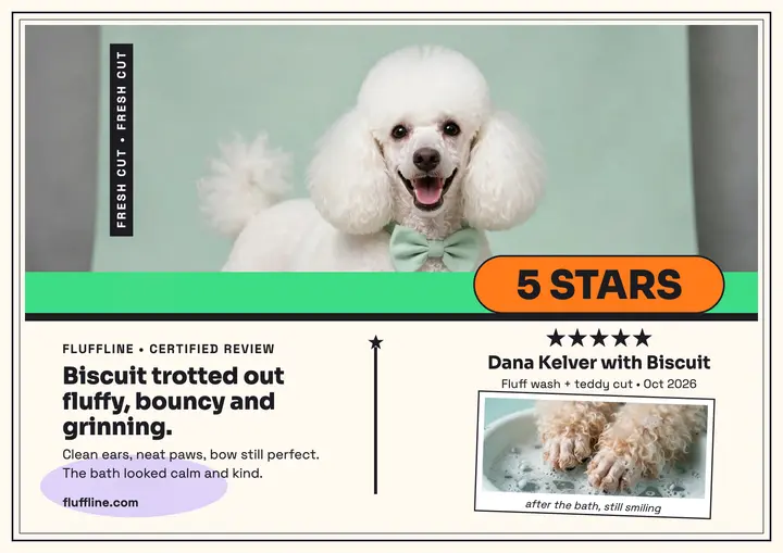 Fluffline poodle grooming review card template