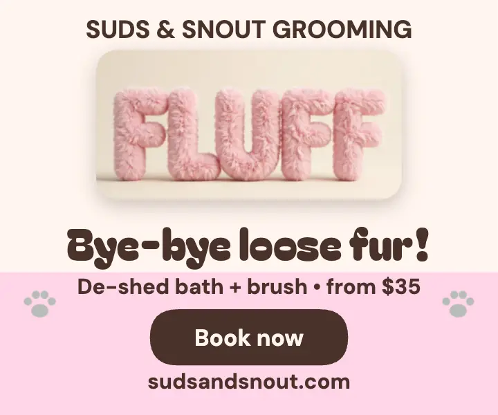 Suds and Snout de-shed furry ad template