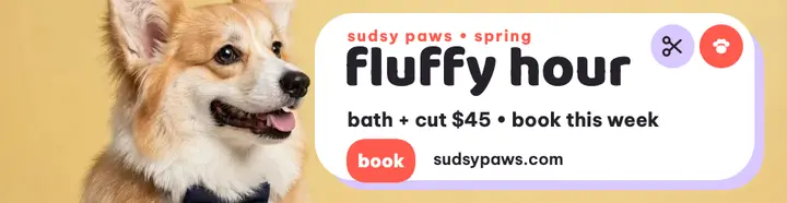 Sudsy Paws fluffy hour billboard template