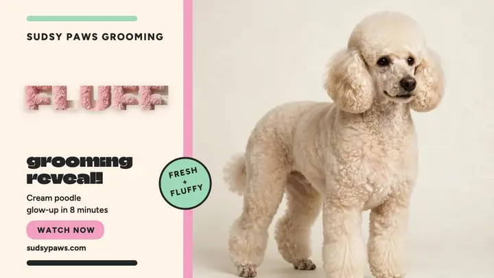Fluffy pup grooming reveal thumbnail template