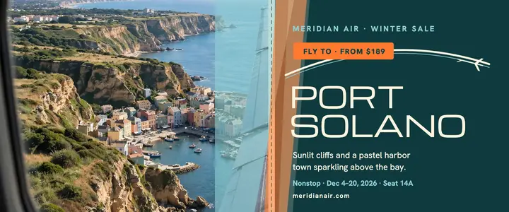 Meridian Air Port Solano winter ticket: winter flight deal ticket template