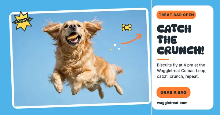 Waggletreat flying biscuit catch post template
