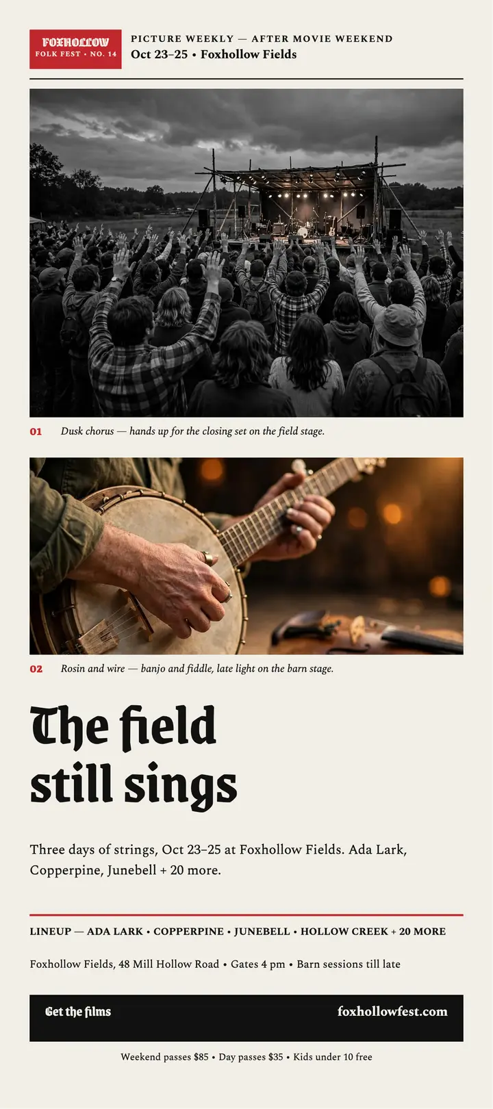 Foxhollow Folk Fest aftermovie rack card template