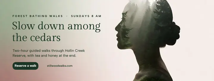 Stillwood forest bathing walks cover, double exposure silhouette template