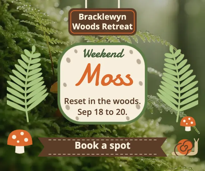 Bracklewyn Woods forest bathing weekend ad template
