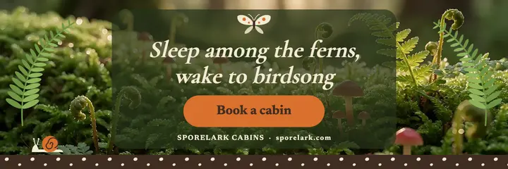 Sporelark Cabins forest retreat X header template