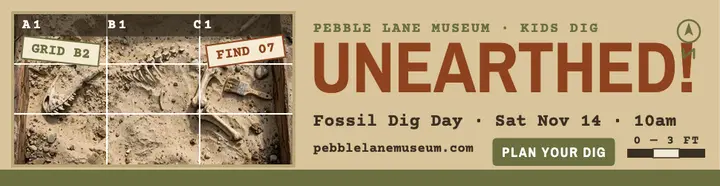 Pebble Lane fossil dig day billboard template
