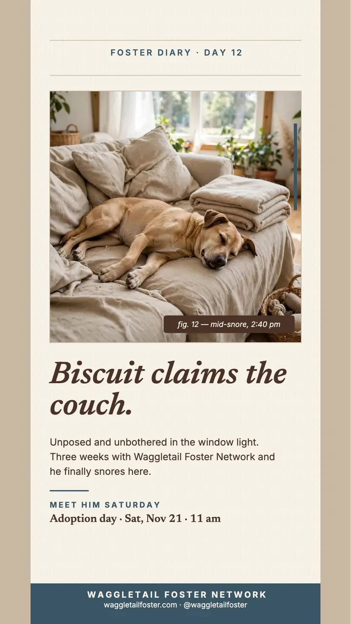 Biscuit foster diary couch story template
