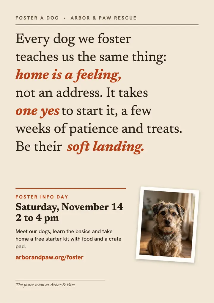 Arbor & Paw foster info day manifesto flyer template