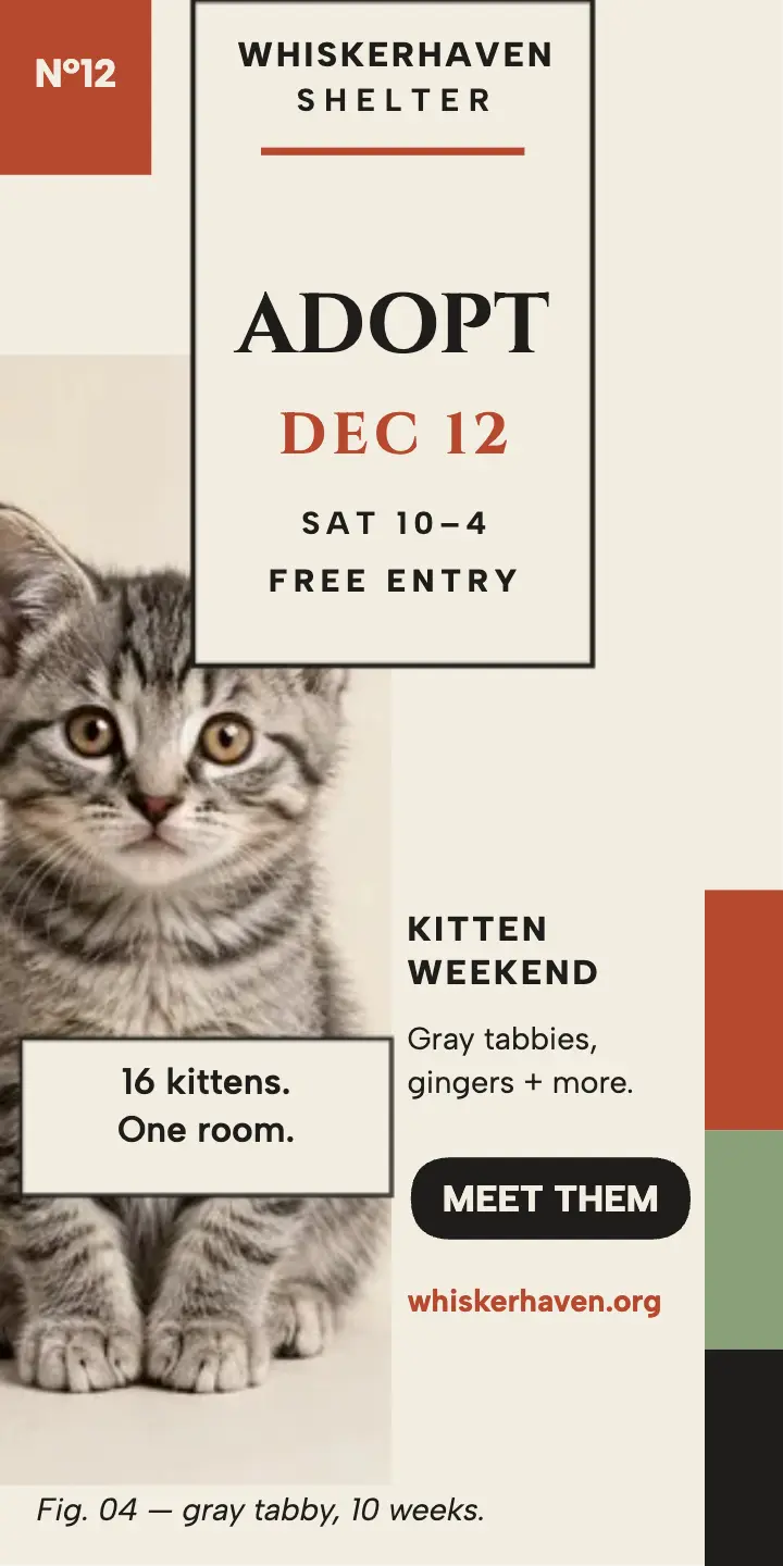 Whiskerhaven kitten weekend half-page ad template
