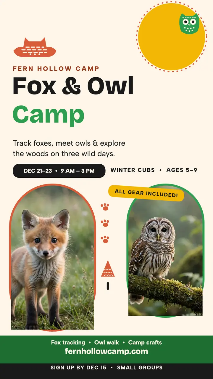 Fern Hollow Fox and Owl camp story template