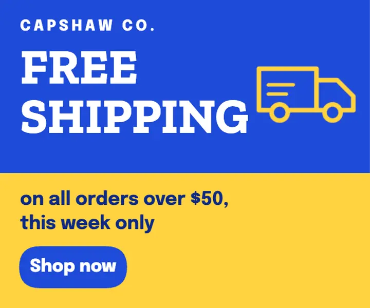 Free shipping 300x250 display ad template